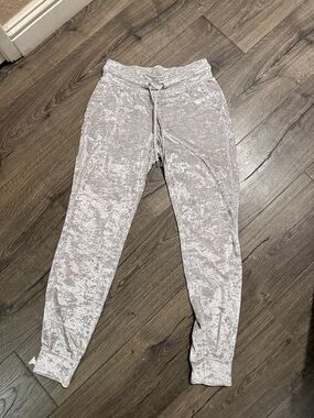 Crushed Velvet Jogger Pants in Light Silver
